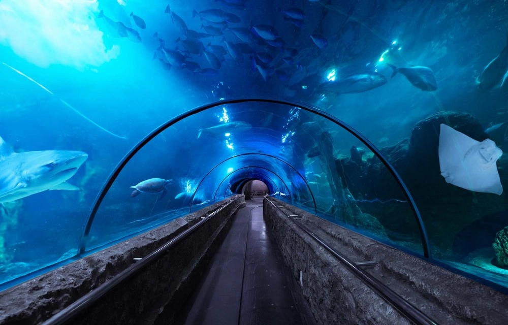 Sea World Ancol Jakarta